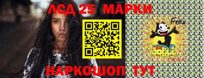 дмт Гатчина