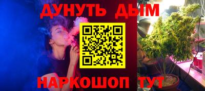 дмт Гатчина