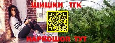 дмт Гатчина