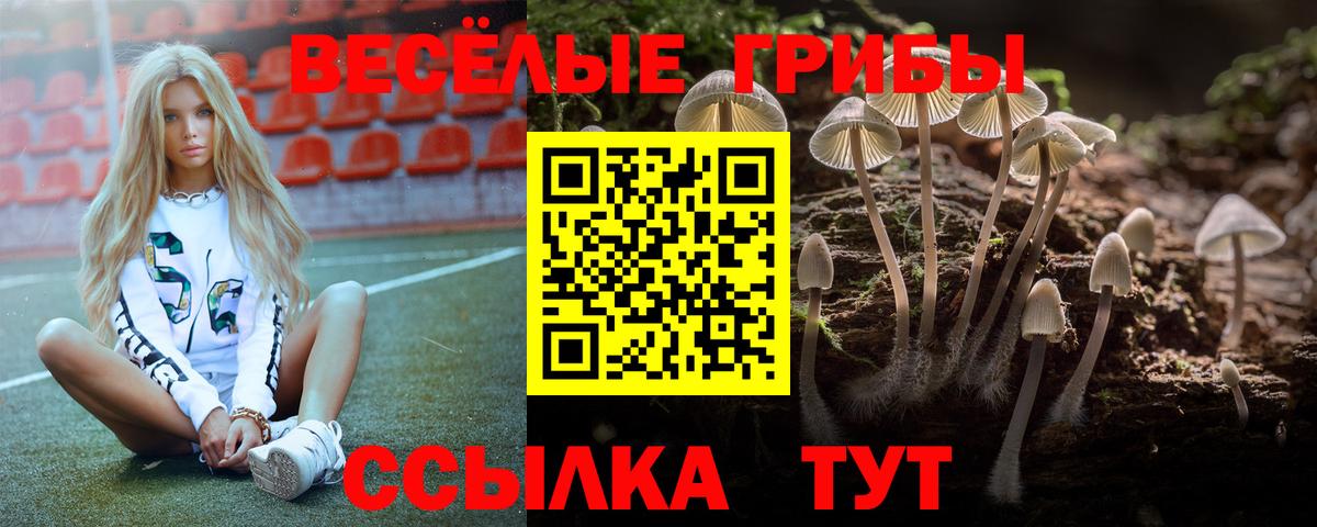Керчь  Галлюциногенные грибы прущие грибы  Вход с VPN 